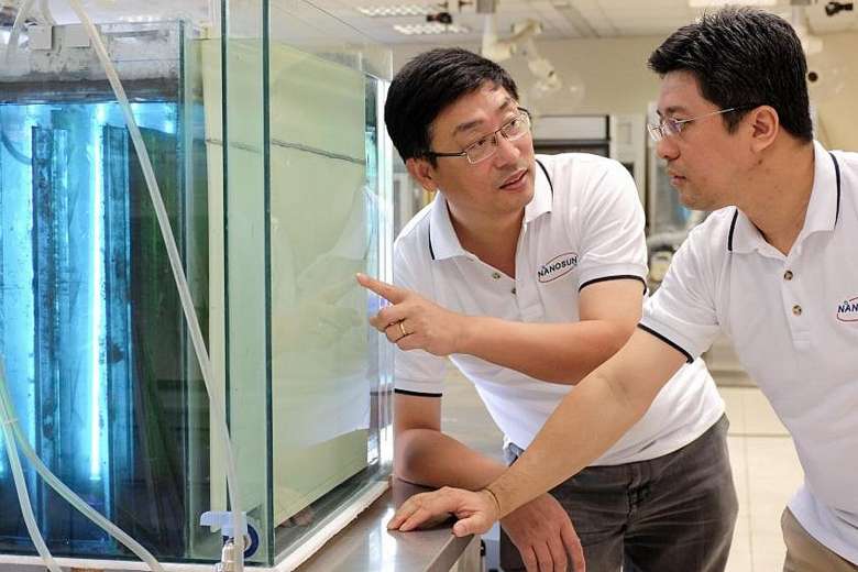 NanoSun featured on The Straits Times